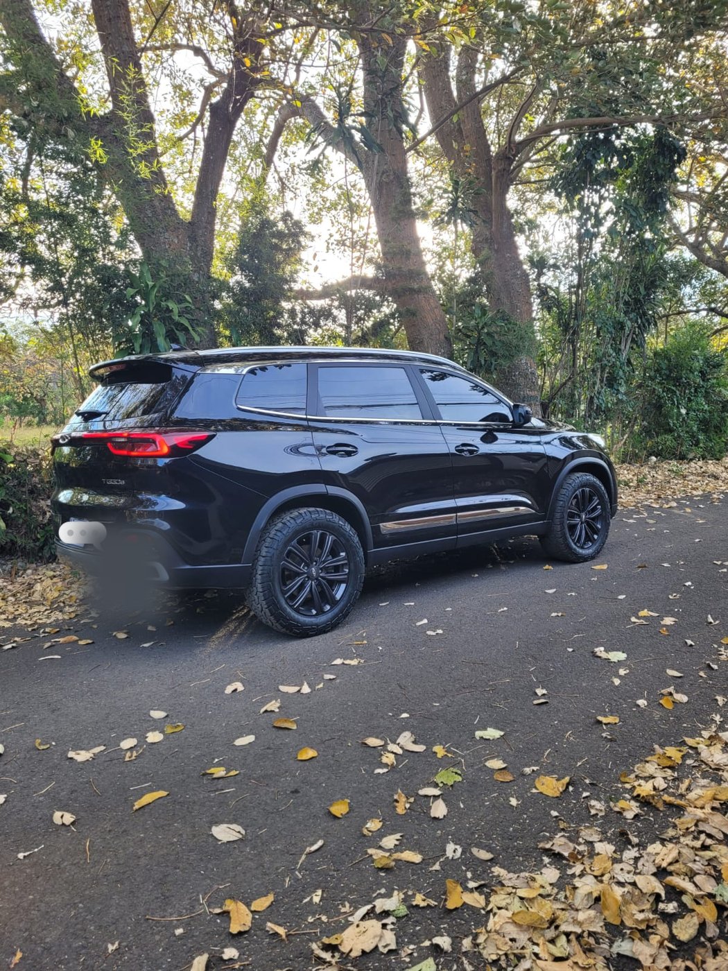Jacó Transport private suv